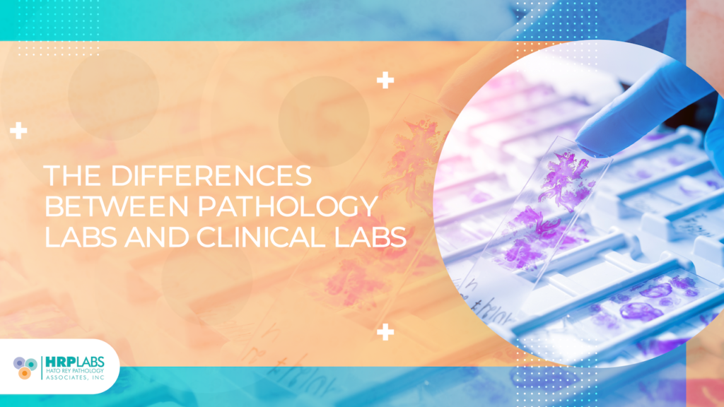 The Differences Between Pathology Labs and Clinical Labs