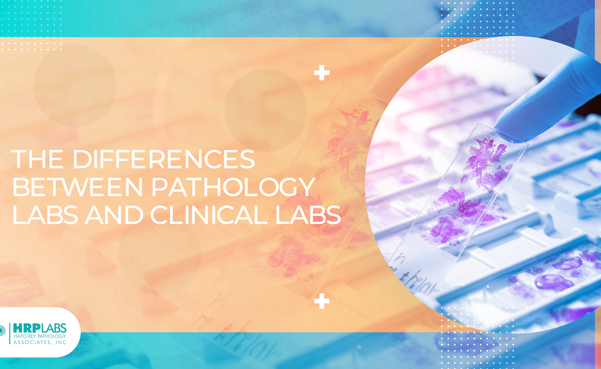 The Differences Between Pathology Labs and Clinical Labs