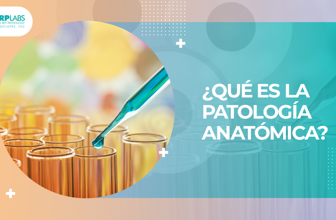 ¿Qué es la patología anatómica?