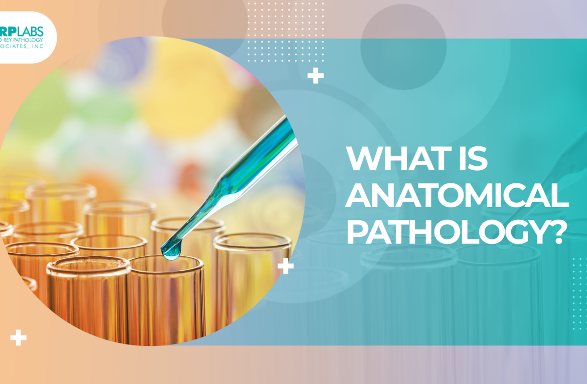 What is anatomical pathology?