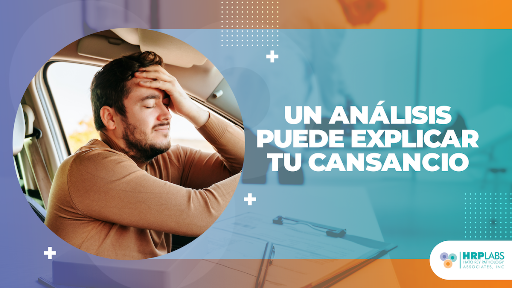 ¿Cansancio sin causa aparente? Podría ser un desequilibrio que un análisis puede detectar