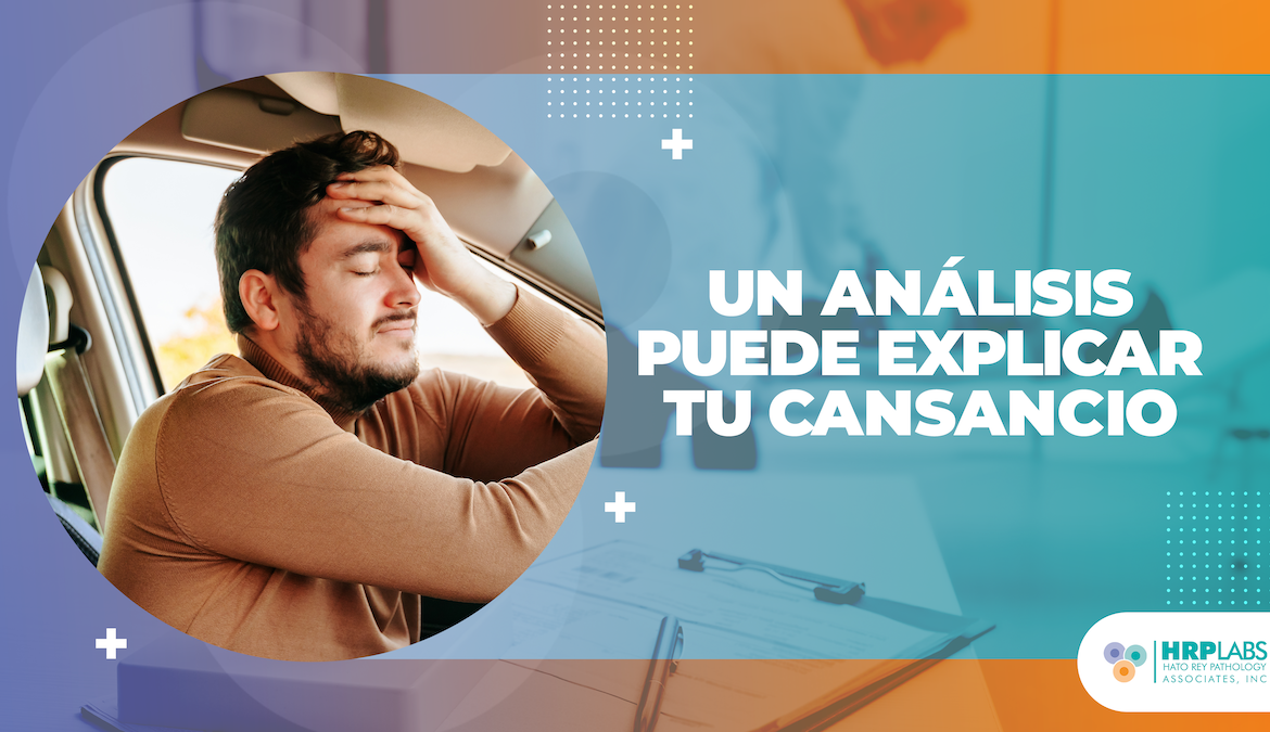 ¿Cansancio sin causa aparente? Podría ser un desequilibrio que un análisis puede detectar