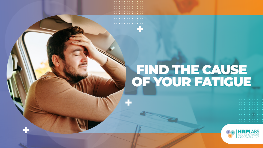 Constant fatigue without a clear cause? A simple lab test might have the answer