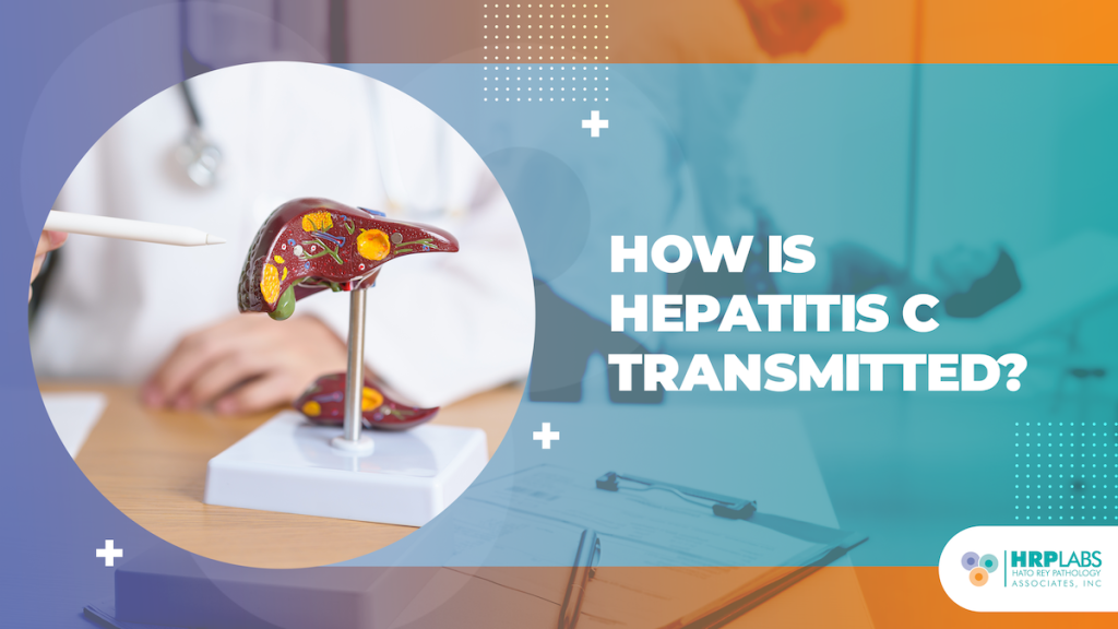 How is Hepatitis C Transmitted?