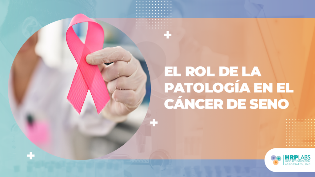 El rol de la patología en el cáncer de seno